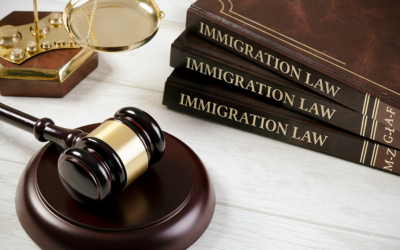 Introduction to U.S. Immigration Law: A Comprehensive Overview for California