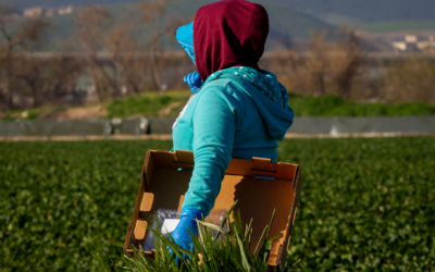 Undocumented Workers Compensation Rights in California